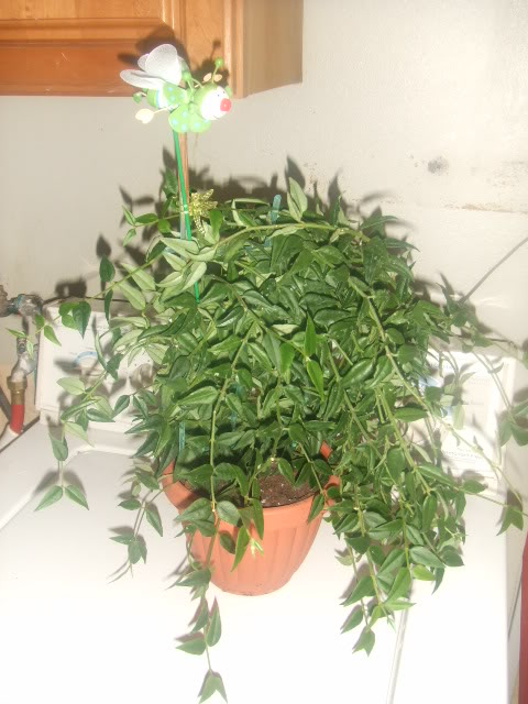 2009-07-14NILDA016.jpg