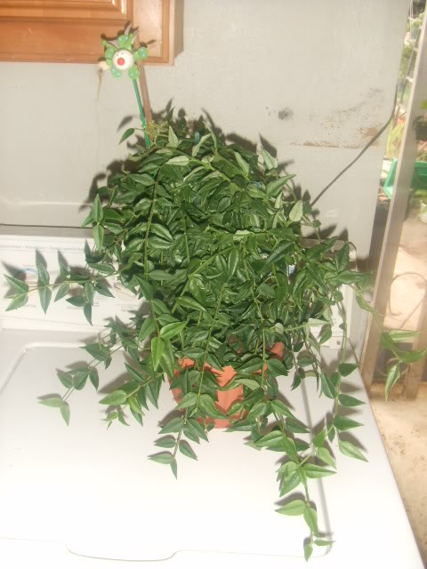 2009-07-14NILDA017.jpg