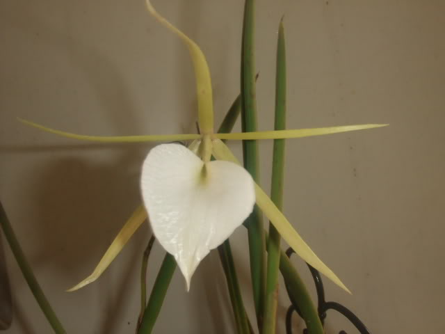 2009-07-17NILDA007.jpg