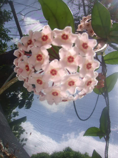 2009-07-17NILDA019.jpg