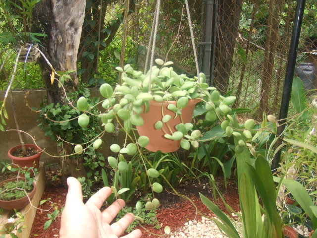 2009-07-21NILDA003.jpg