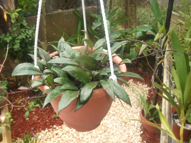 2009-07-21NILDA005.jpg