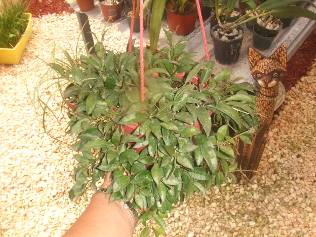 2009-07-21NILDA007.jpg
