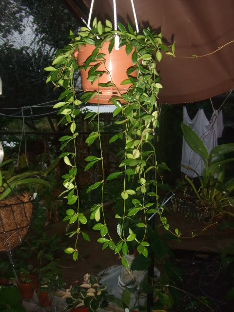 2009-07-21NILDA025.jpg