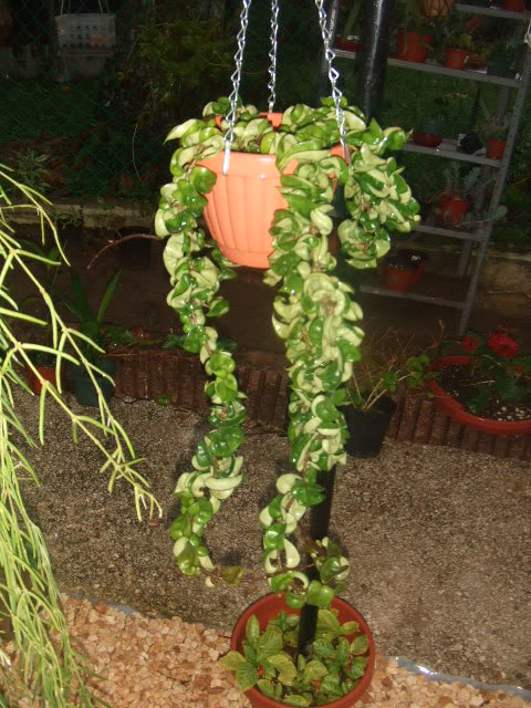 2009-07-21NILDA028.jpg
