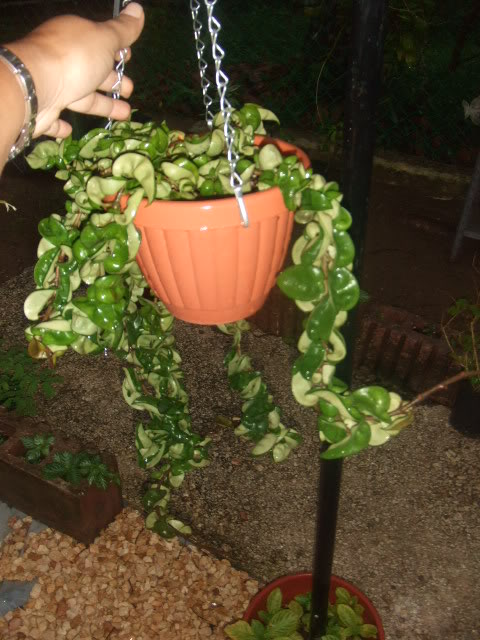 2009-07-21NILDA029.jpg