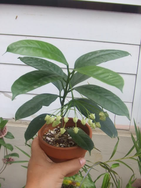 2009-07-24NILDA036.jpg