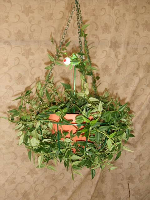 2009-07-28NILDA001.jpg