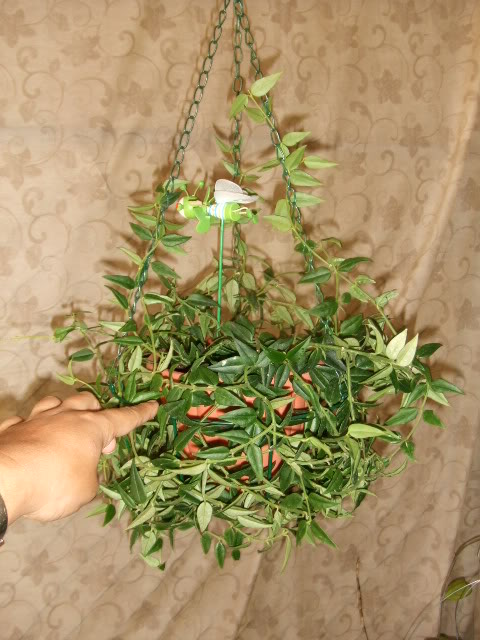 2009-07-28NILDA003.jpg