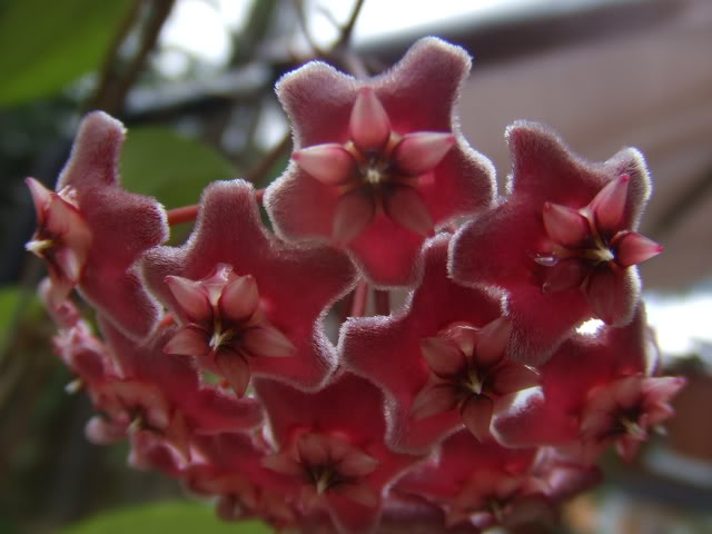 2009-08-11NILDA007.jpg