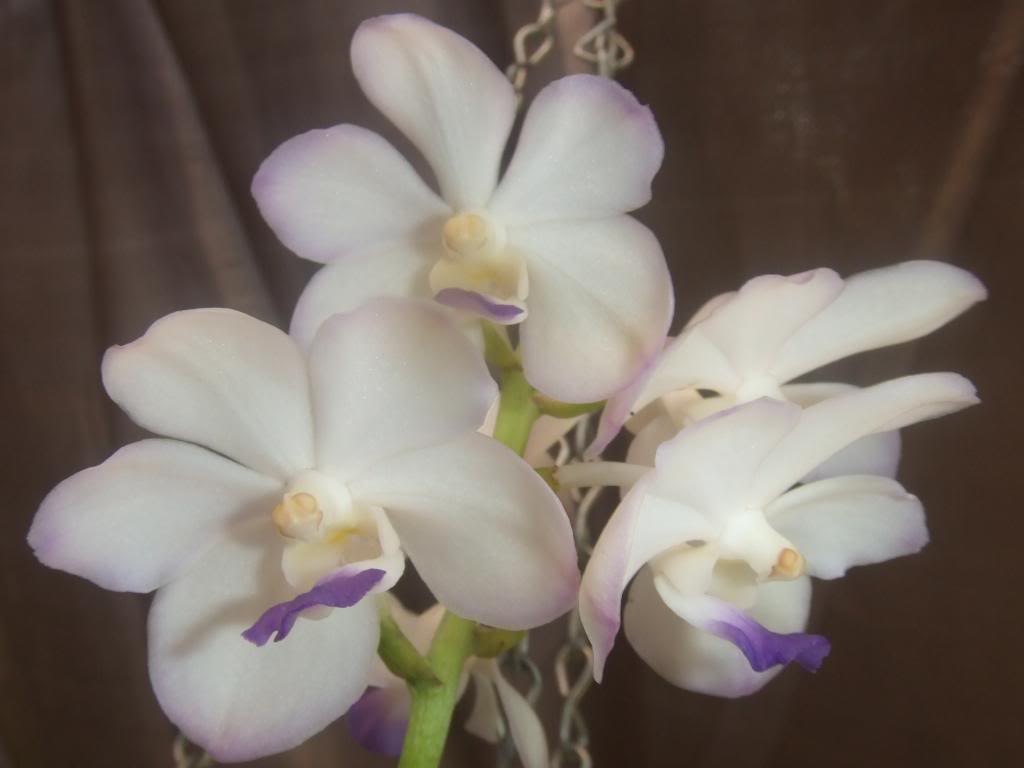 2009-09-01NILDA018.jpg