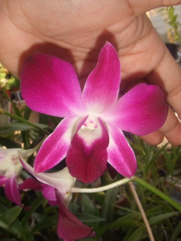2009-09-01NILDA022.jpg