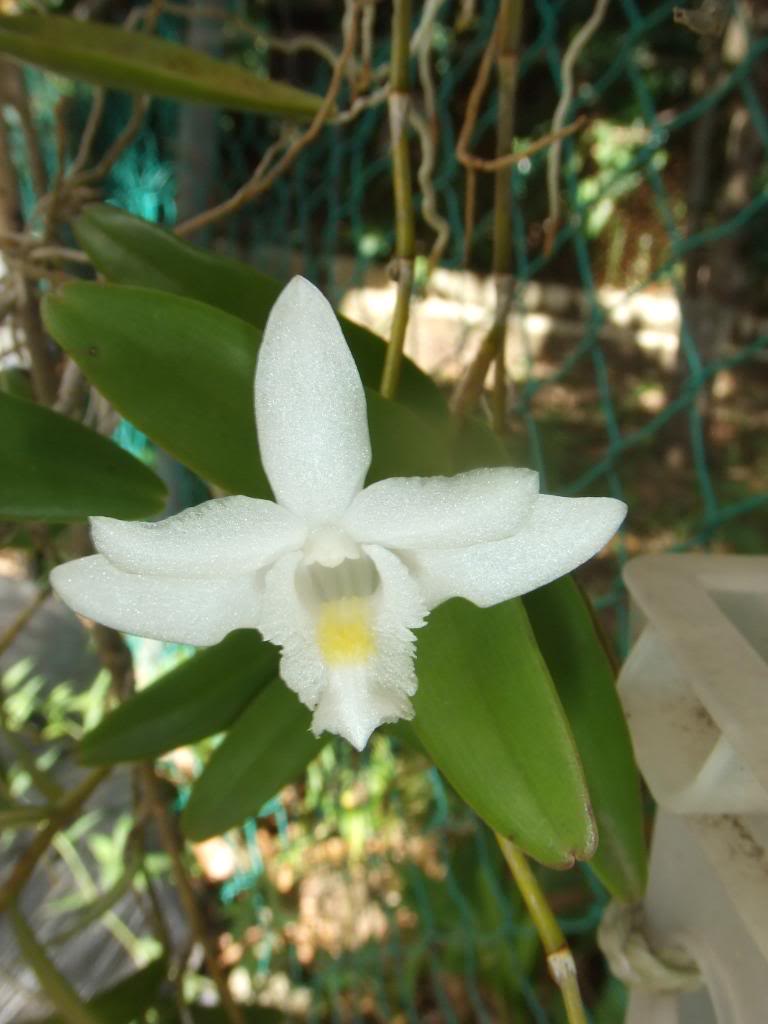 2009-09-02NILDA027.jpg