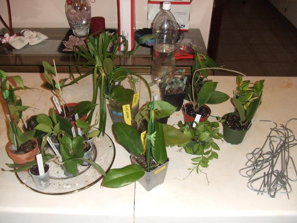 2009-09-03NILDA009.jpg