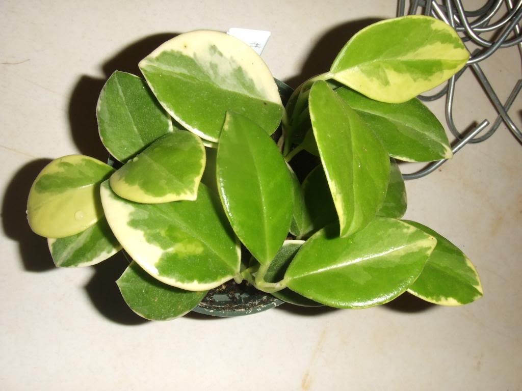 2009-09-03NILDA010.jpg