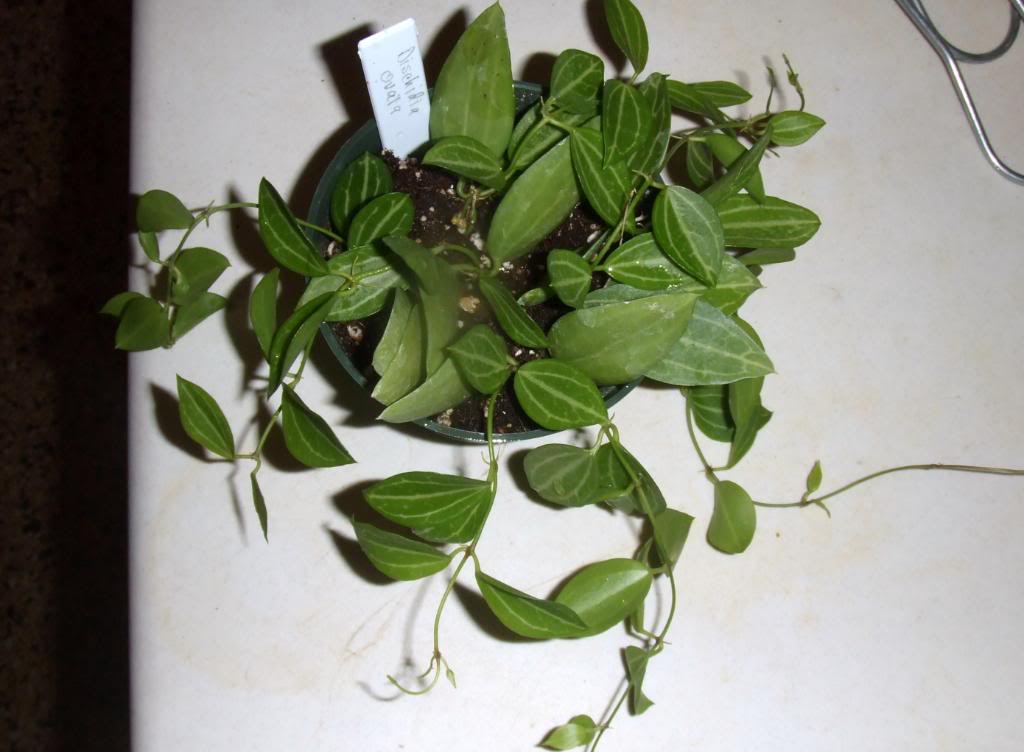 2009-09-03NILDA019.jpg