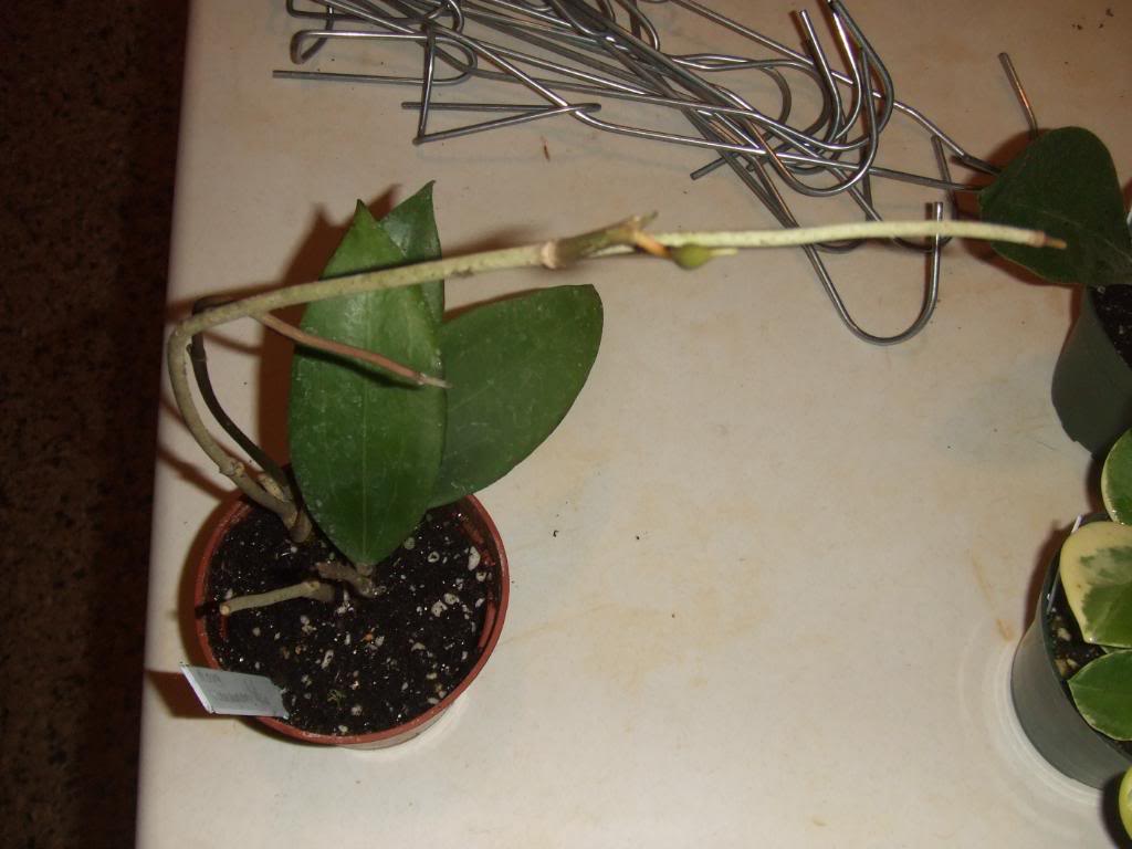 2009-09-03NILDA025.jpg