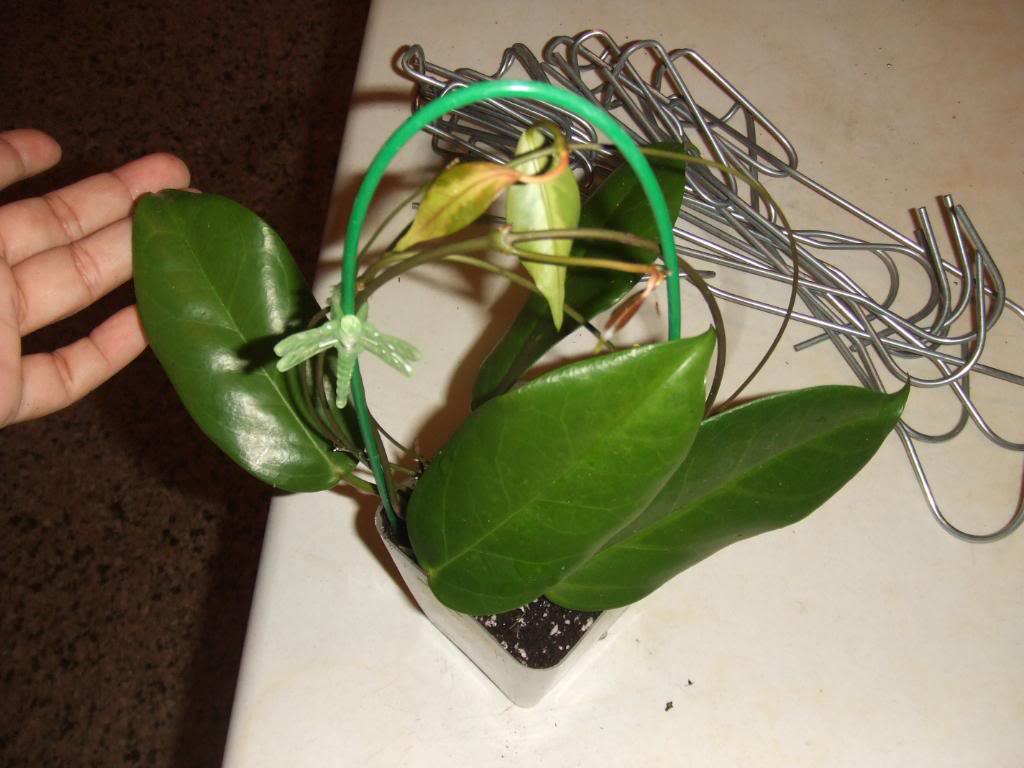 2009-09-03NILDA036.jpg