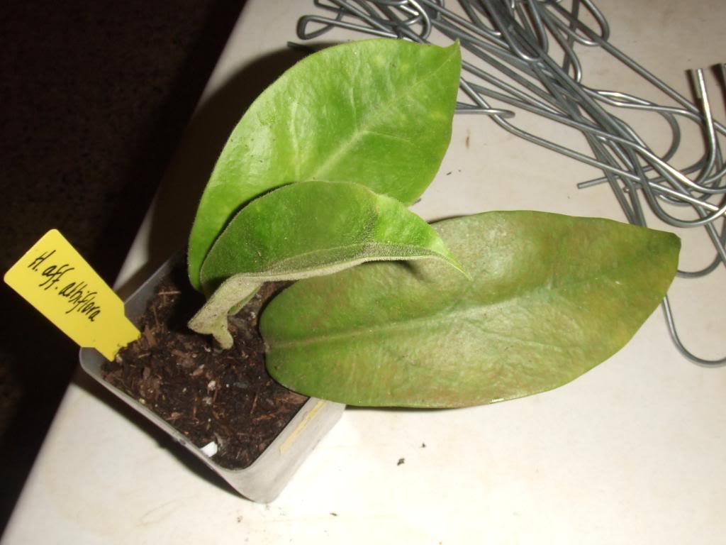 2009-09-03NILDA038.jpg