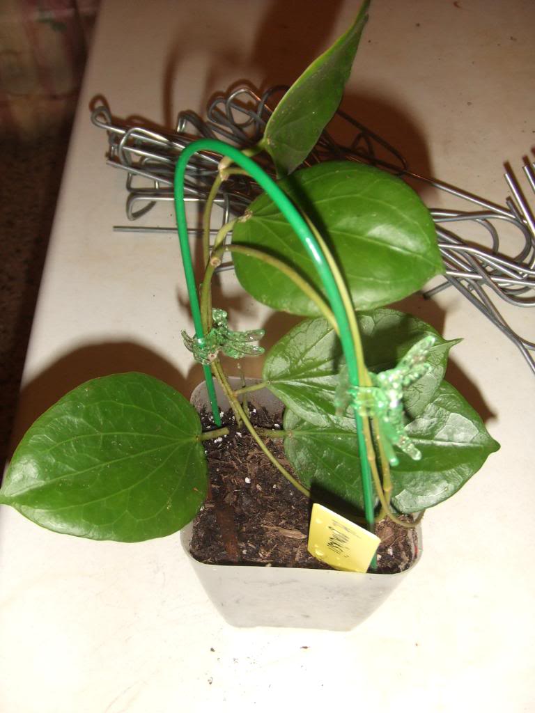 2009-09-03NILDA041.jpg