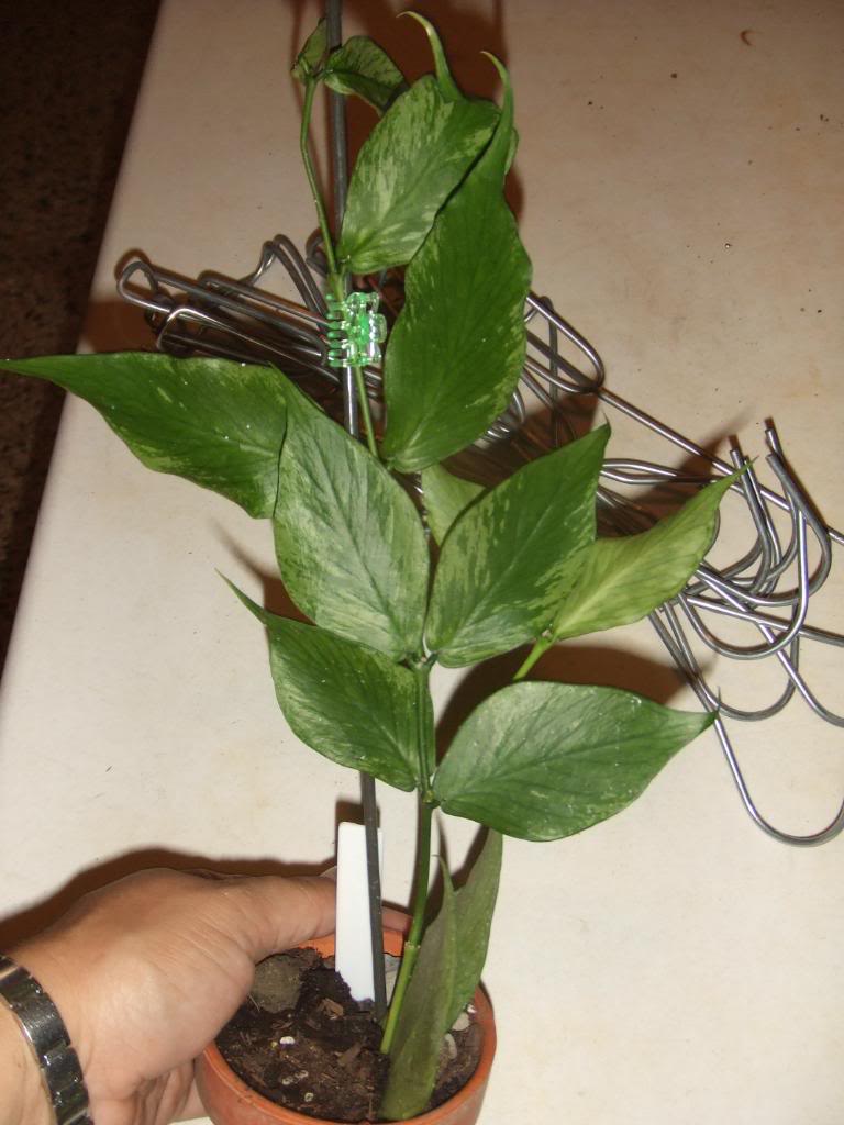 2009-09-03NILDA047.jpg
