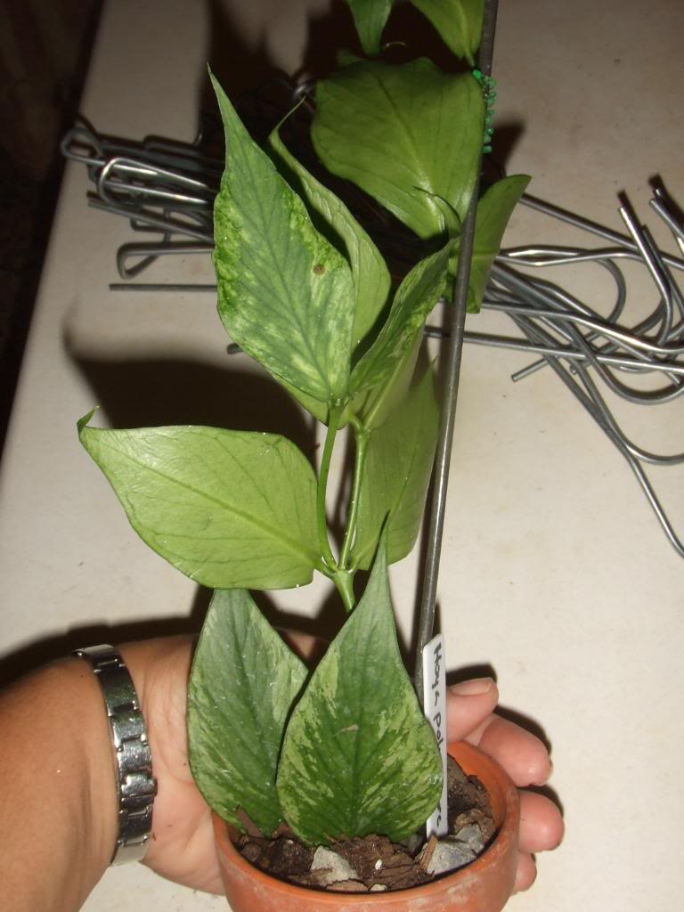 2009-09-03NILDA049.jpg