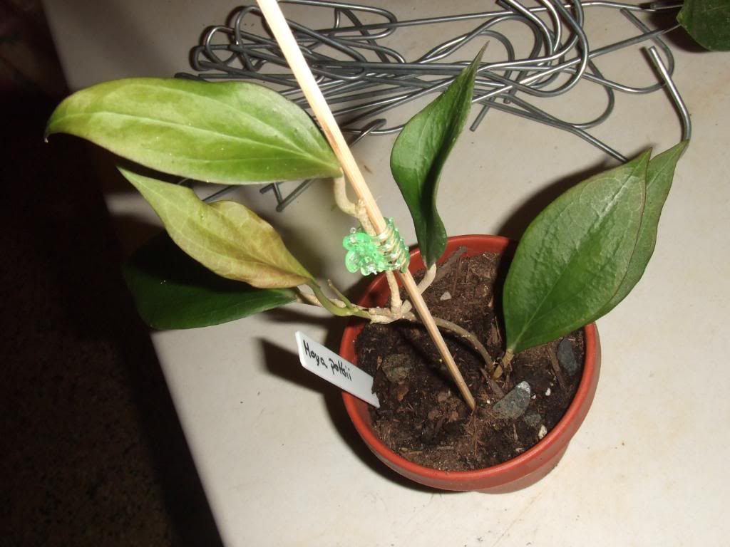 2009-09-03NILDA053.jpg