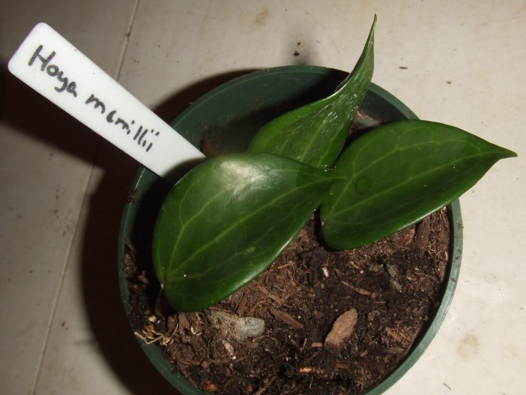 2009-09-03NILDA055.jpg