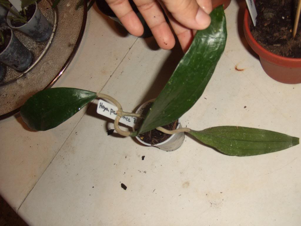 2009-09-03NILDA056.jpg