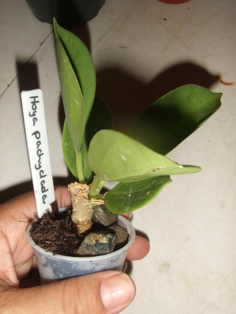 2009-09-03NILDA061.jpg