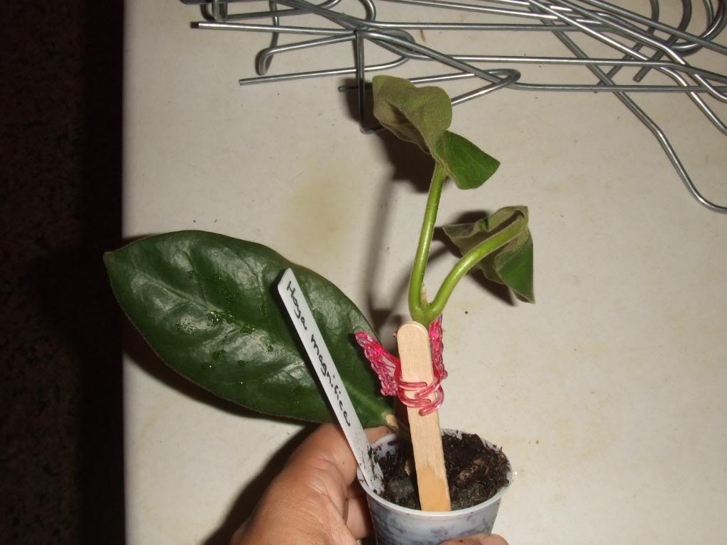 2009-09-03NILDA068.jpg