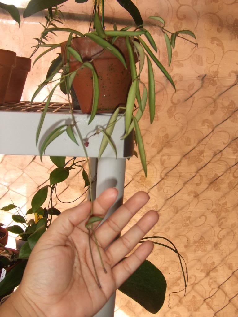 2009-09-03NILDA071.jpg