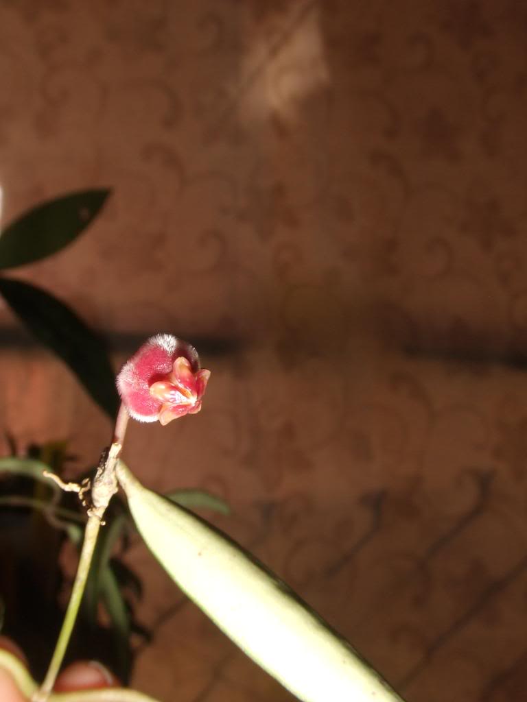 2009-09-03NILDA072.jpg