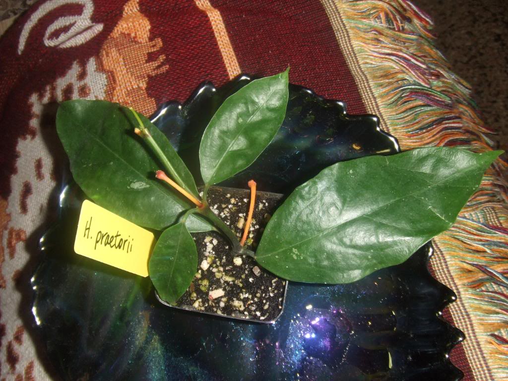 2009-09-14BABYyOTROS002.jpg