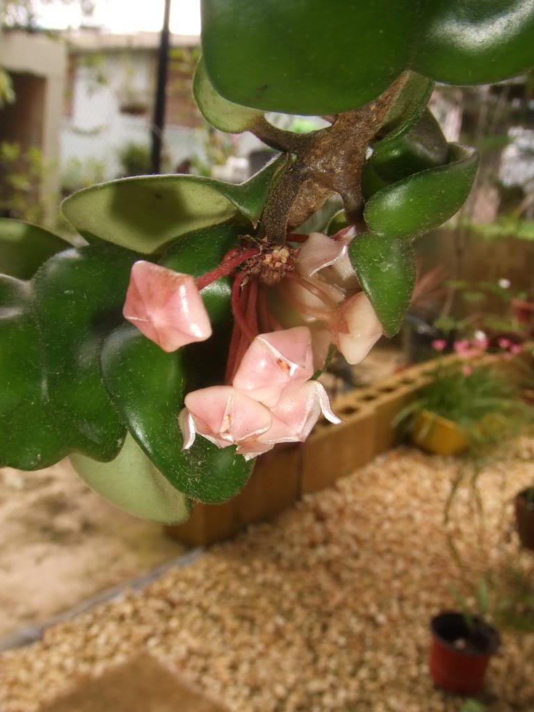 2009-09-22NILDA018.jpg