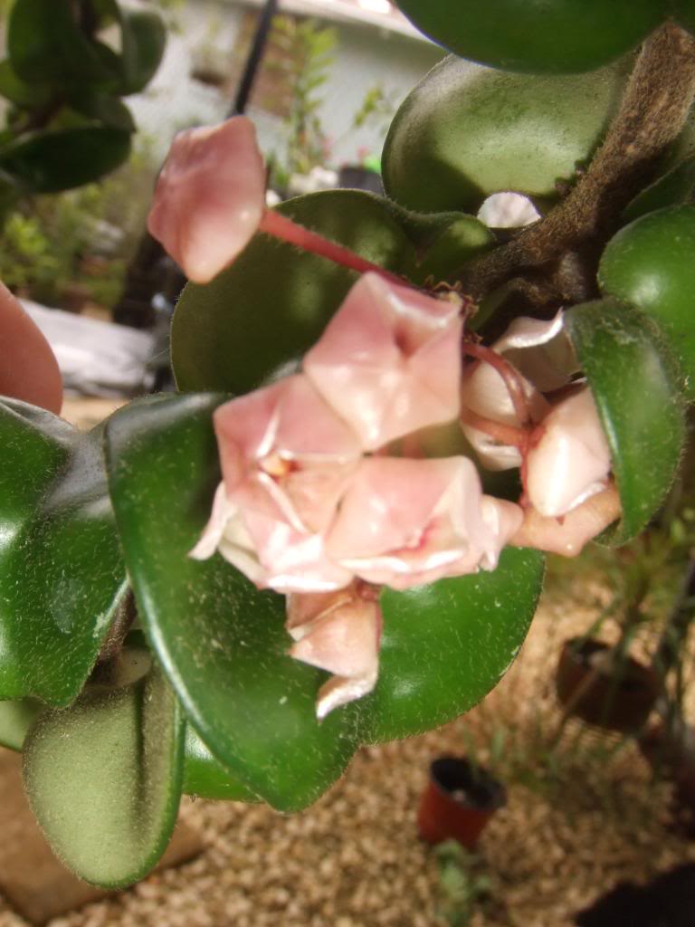 2009-09-22NILDA019.jpg