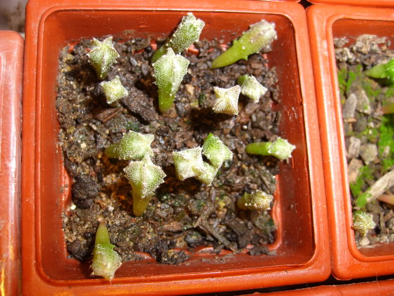 20090404001.jpg