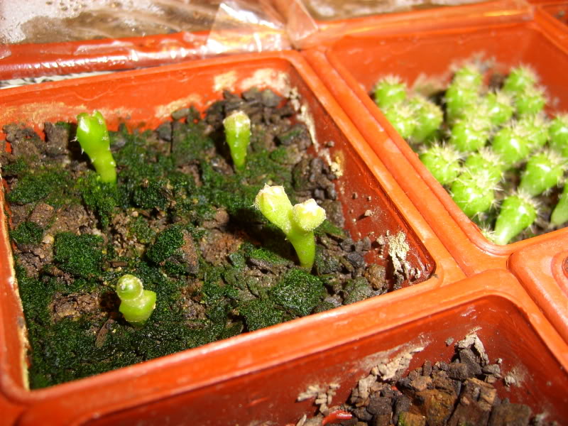 20090404006.jpg