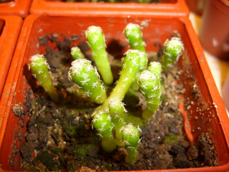 20090404015.jpg