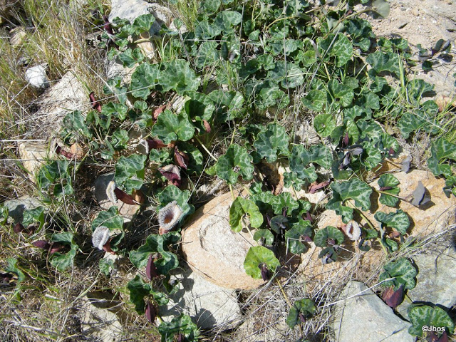20090919%20039.jpg