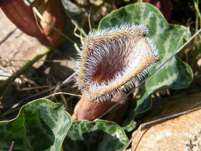 20090919%20040.jpg