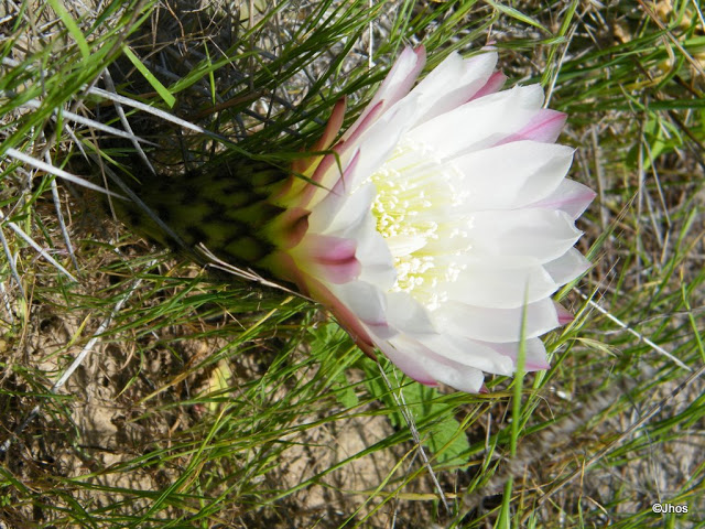 20090919%20045.jpg