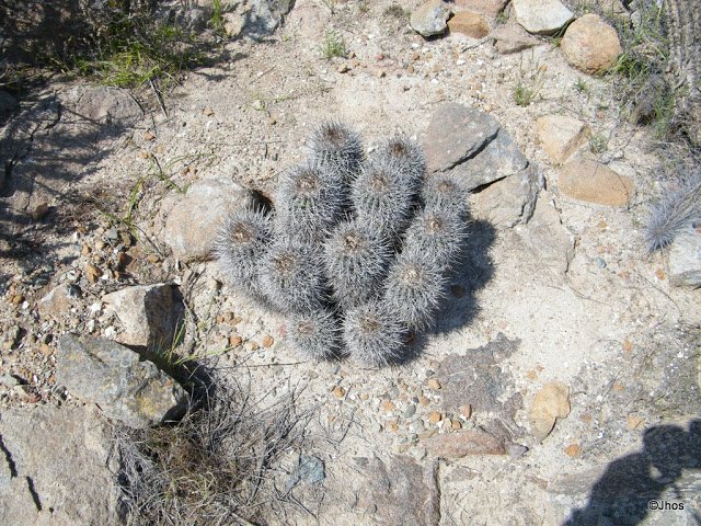 20090919%20052.jpg