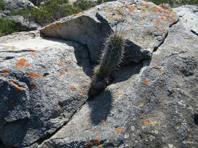 20090919%20055.jpg