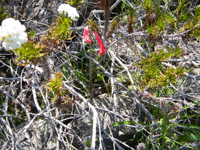 20090919%20065.jpg