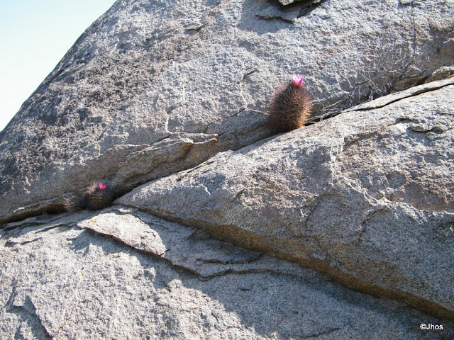 20090919%20066.jpg