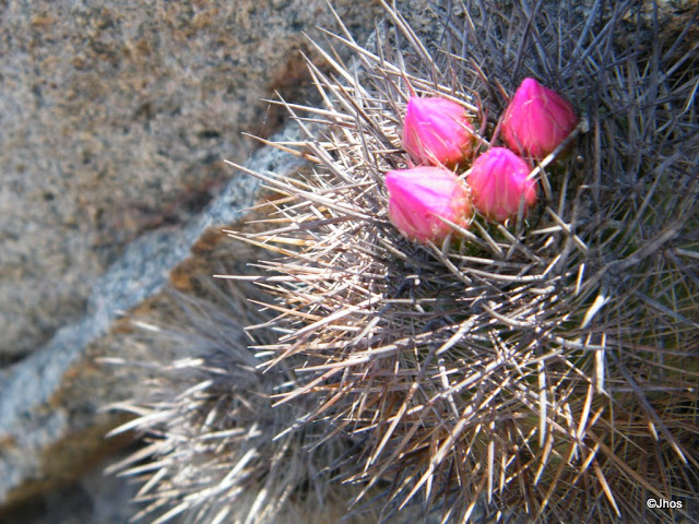 20090919%20067.jpg