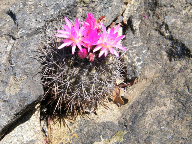 20090919%20075.jpg