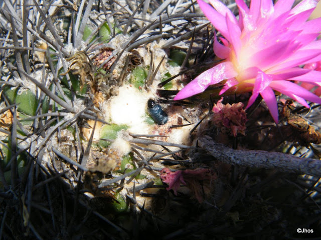 20090919%20083.jpg