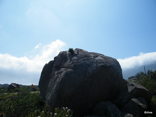 20090919%20104.jpg
